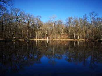 reflection