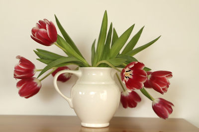 Close-up of vase against white background