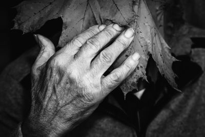 Cropped hand touching leaf at night