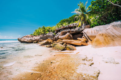 Rocks on beach against sky