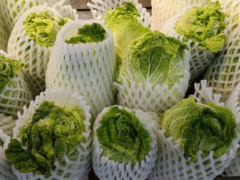 Lettuce or chinese cabbage in a white foam net  to prevent shock or bruise at the supermarket 