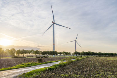 Two wind turbines behind an avenue of trees in evening light mood