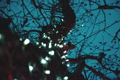 Low angle view of bare tree against sky