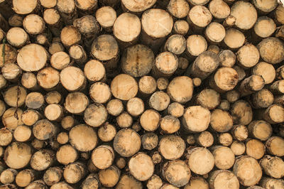 Full frame shot of logs