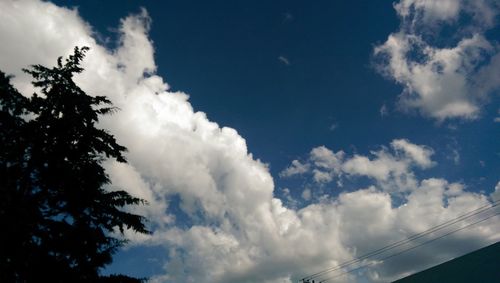 Low angle view of trees against cloudy sky