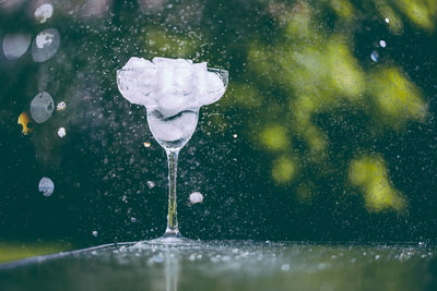 Drink with ice cubes in glass on table