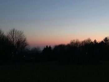 Silhouette trees against clear sky at sunset