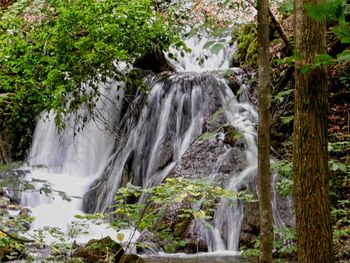 Waterfall in forest