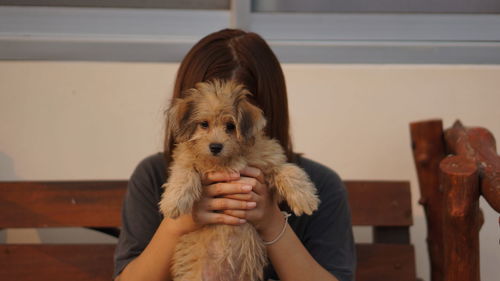 Portrait of woman holding dog at home