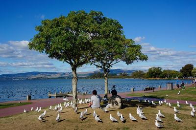 People sitting on beach by sea against sky and lots of birds 