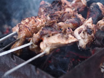 Winter shish kebab fried over an open fire. smoke from fire and steam from hot meat in the cold.