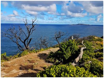 Scenic view of sea against sky