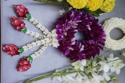 High angle view of purple flowering plant