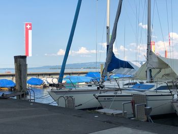 Sailboats moored in harbor