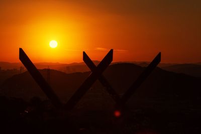 Silhouette of trees at sunset