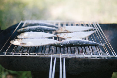 Close-up of fish on barbecue grill