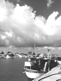 Sailboats moored at harbor against sky