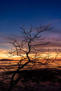 Scenic view of sunset