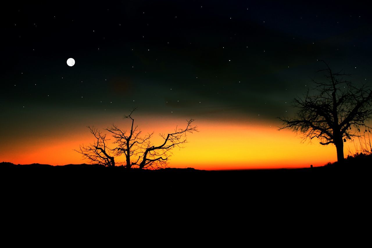 silhouette, tranquil scene, scenics, tranquility, beauty in nature, sunset, nature, sky, landscape, idyllic, bare tree, dark, night, majestic, astronomy, moon, tree, dusk, field, orange color