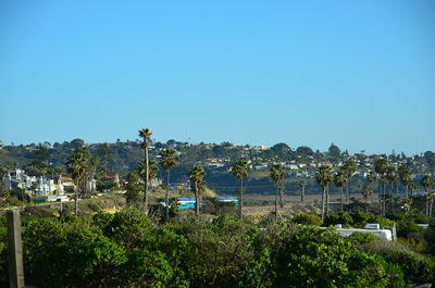 Panoramic view of trees and houses against clear blue sky