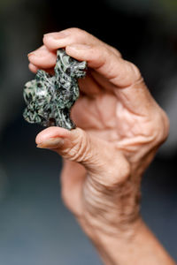 Close-up of hand holding plant