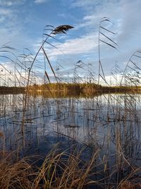 Scenic view of lake against sky