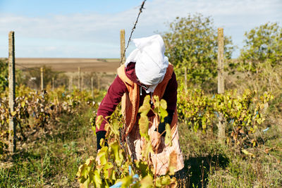 Rear view of woman standing on field