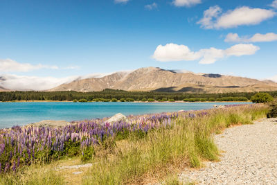 Scenic view of land against sky