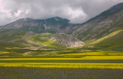 Scenic view of grassy field against cloudy sky