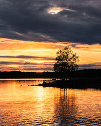 Silhouette tree by lake against sky during sunset