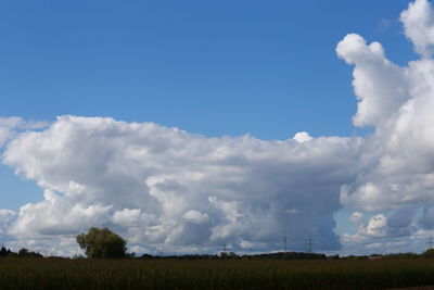 Scenic view of field against blue sky