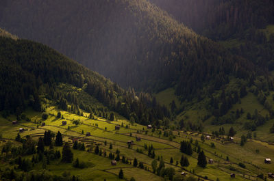 High angle view of trees on field against mountains