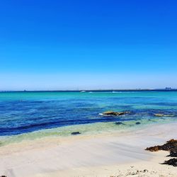 Scenic view of sea against clear blue sky