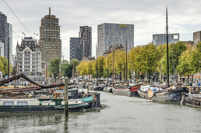 Rotterdam haringvliet canal in autumn
