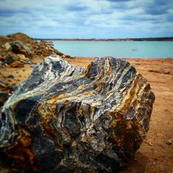 Close-up of sea shore against sky