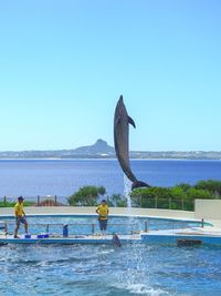 People in swimming pool by sea against clear blue sky