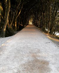 Empty road along trees in winter