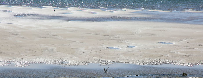 High angle view of snow on beach