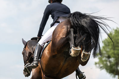 Man riding horse