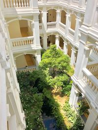 Low angle view of trees and plants outside building