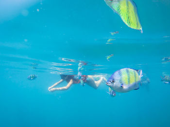 Woman swimming in sea