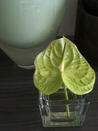 High angle view of drink on table