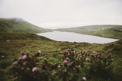 Scenic view of landscape with lake