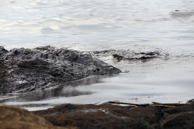 Scenic view of rocky beach