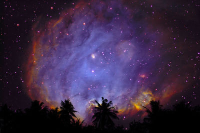 Low angle view of silhouette trees against sky at night