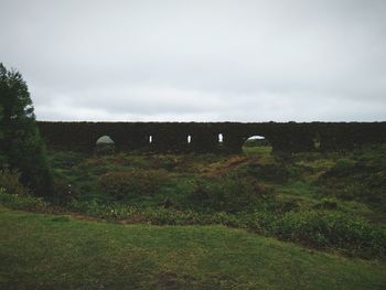 Sheep grazing on field against sky