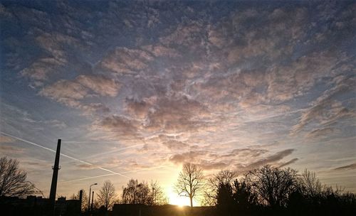 Silhouette of trees against dramatic sky