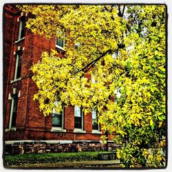 Building with trees in background