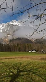 Scenic view of grassy field against sky