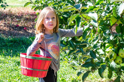 Smiling girl picking michigan apples